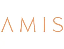 AMIS Development