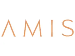 AMIS Development