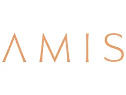 AMIS Development